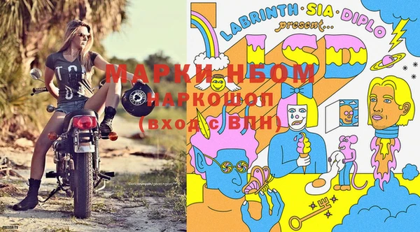 шишки Гвардейск
