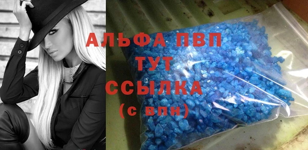 шишки Гвардейск