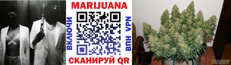 Каннабис SATIVA & INDICA  Лакинск 